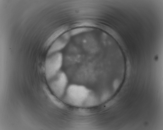 X0000115201241200911251435