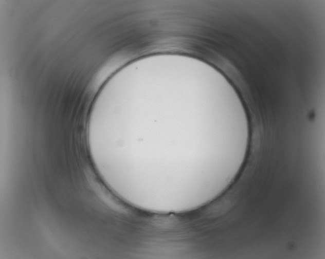 X0000115201242200911251435