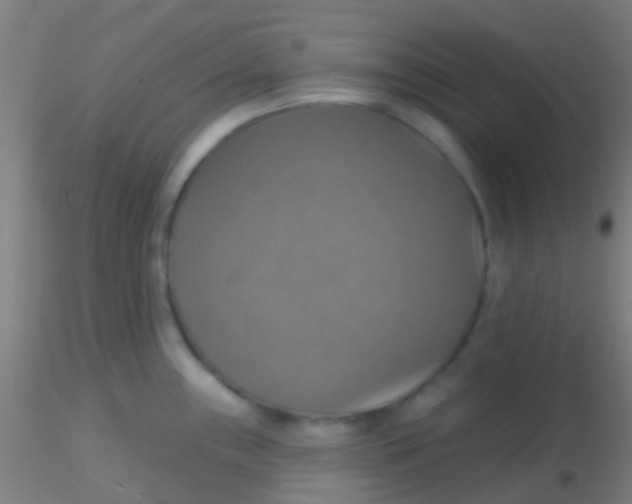X0000115201243200911251435