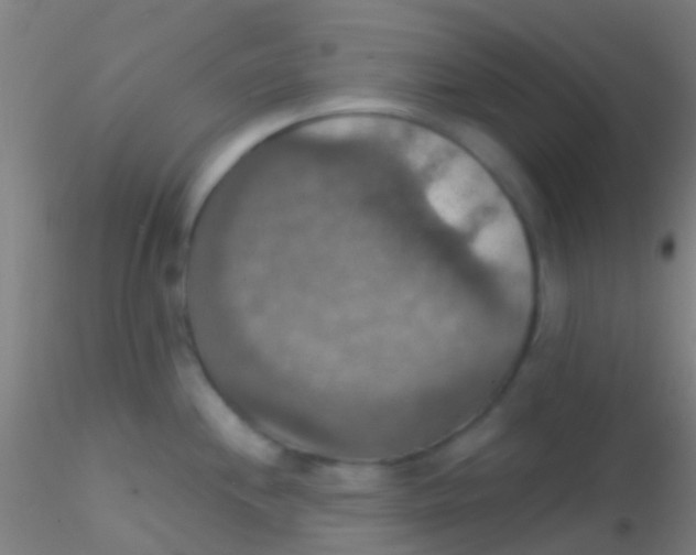 X0000115201244200911251435