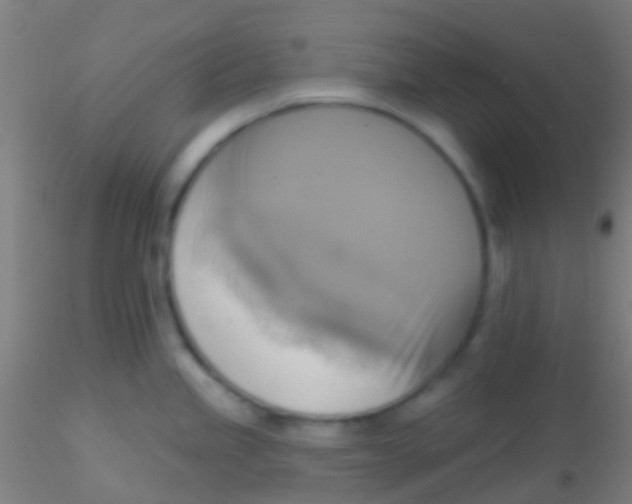 X0000115201245200911251435
