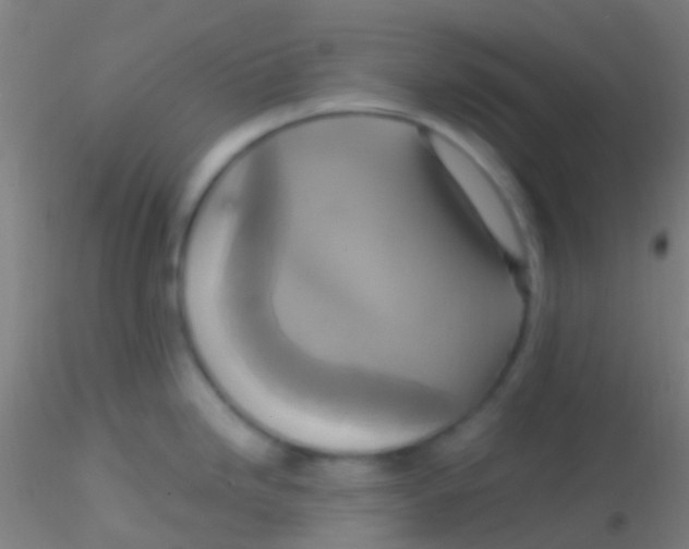 X0000115201246200911251435