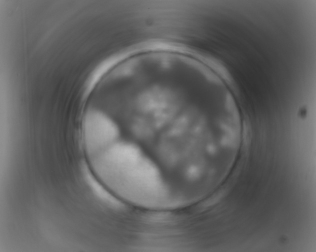 X0000115201247200911251435