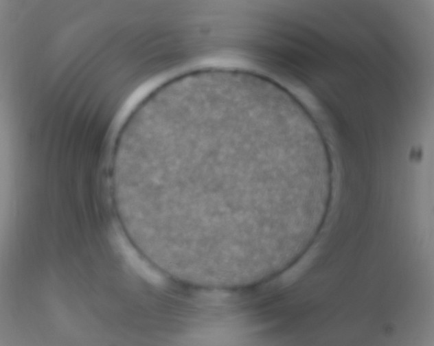 X0000115201248200911251435