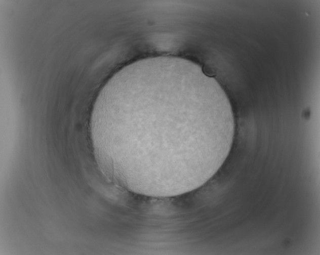 X0000115201249200911251435