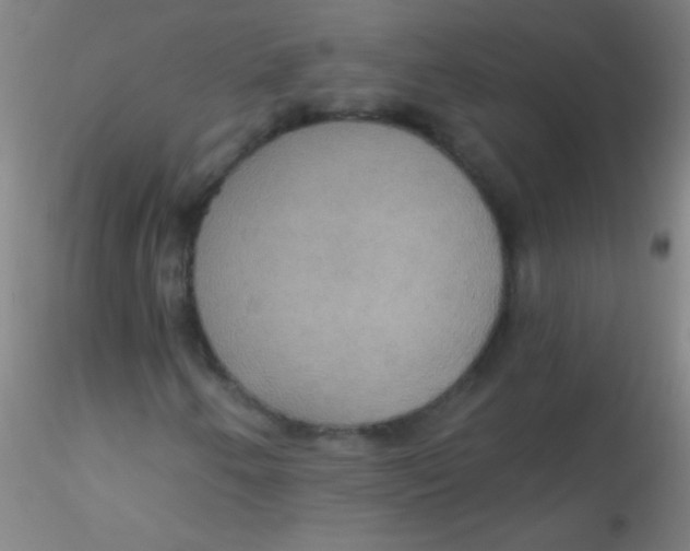 X0000115201250200911251434