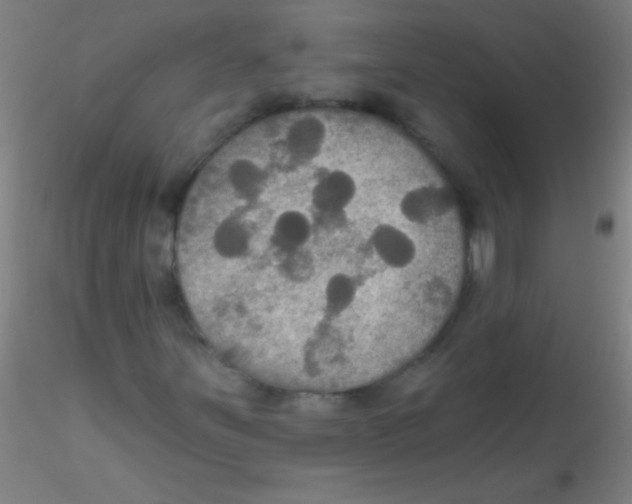 X0000115201251200911251434