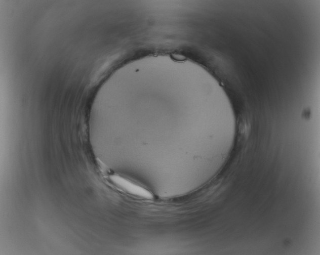 X0000115201252200911251434