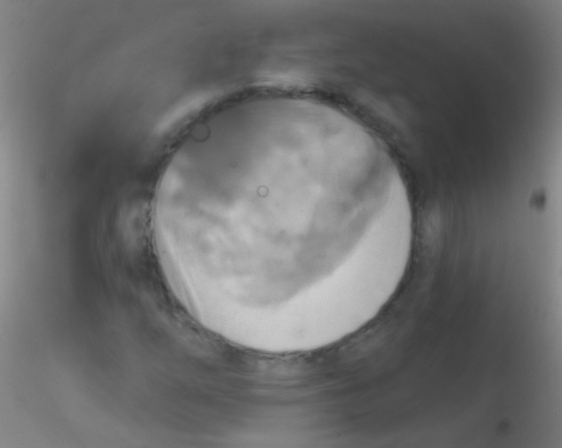 X0000115201254200911251434