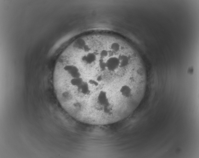X0000115201255200911251434