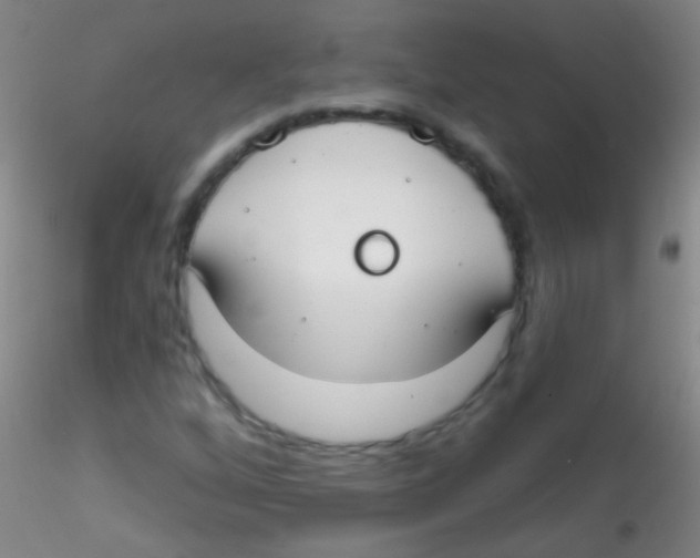 X0000115201256200911251434