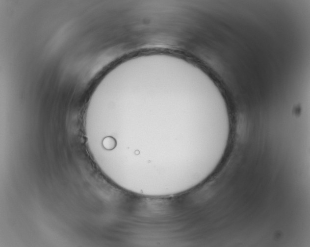 X0000115201258200911251434
