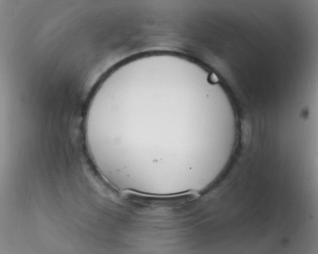 X0000115201260200911251434