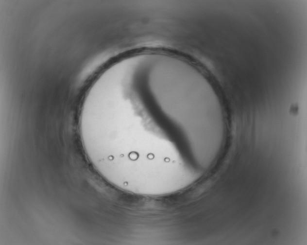 X0000115201263200911251434