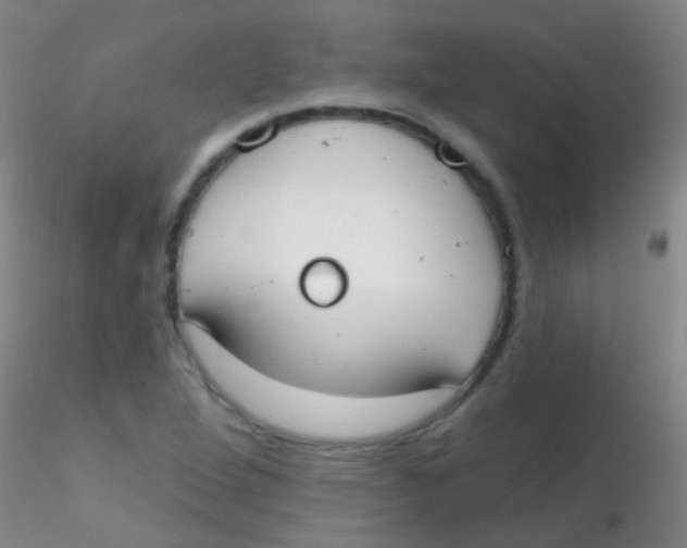 X0000115201264200911251434