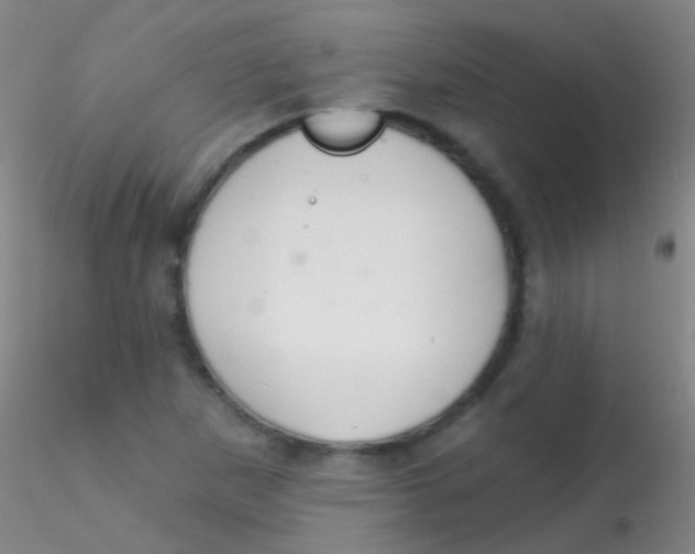 X0000115201265200911251434