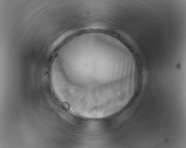 X0000115201266200911251434