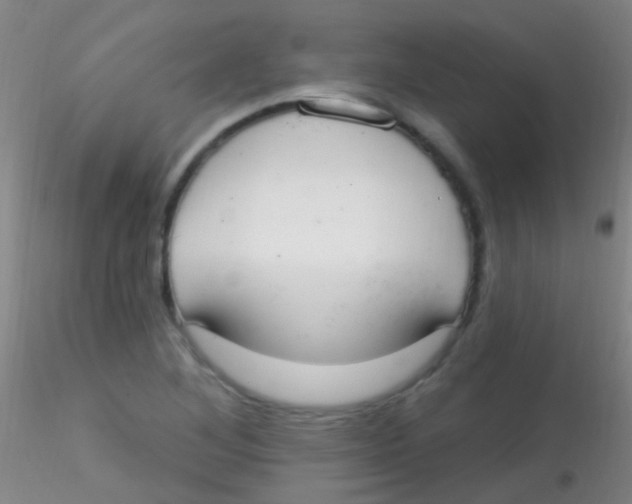 X0000115201268200911251434