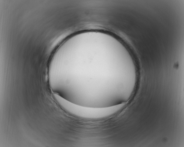X0000115201269200911251434