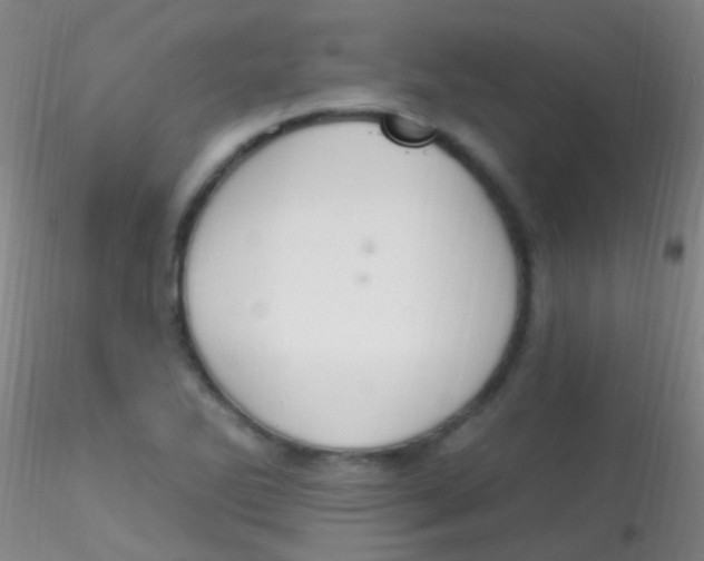 X0000115201270200911251434