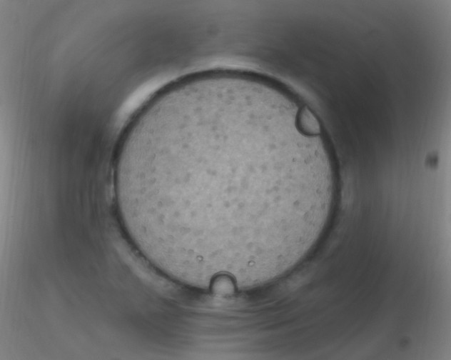 X0000115201271200911251434