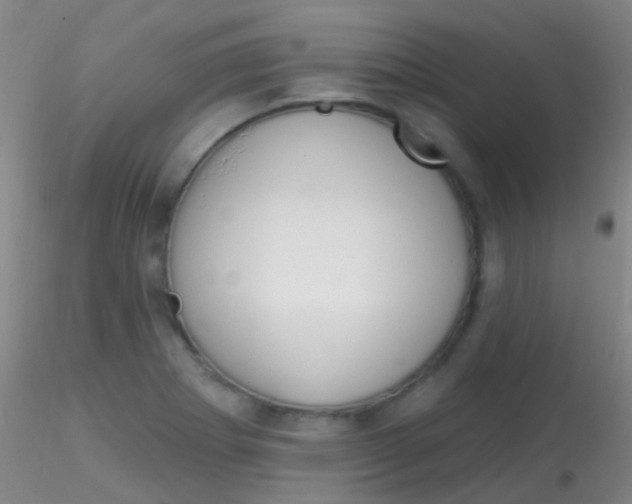 X0000115201273200911251434