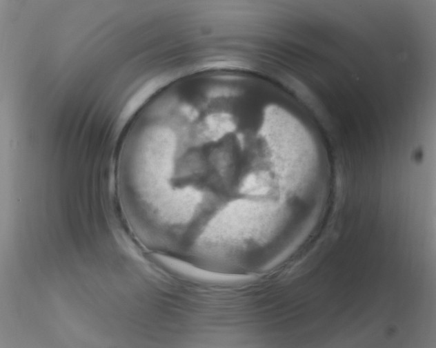 X0000115201274200911251434
