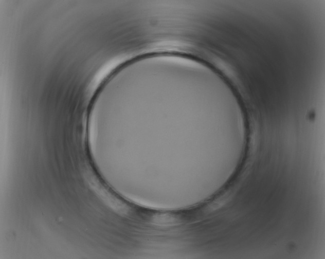 X0000115201275200911251434