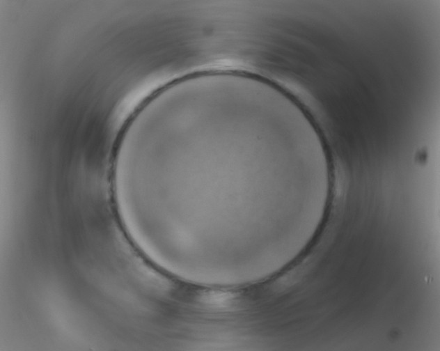 X0000115201278200911251434