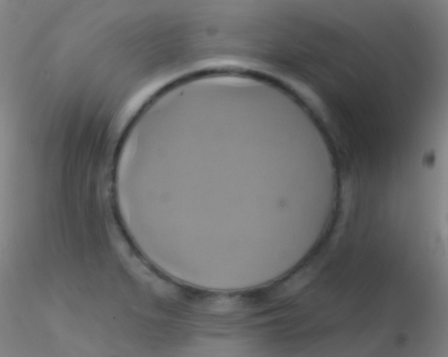 X0000115201279200911251434