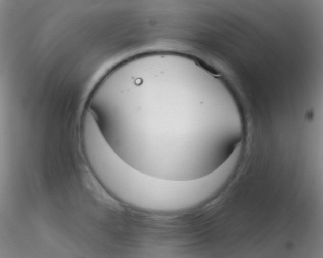 X0000115201280200911251434