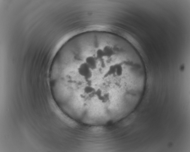 X0000115201283200911251434