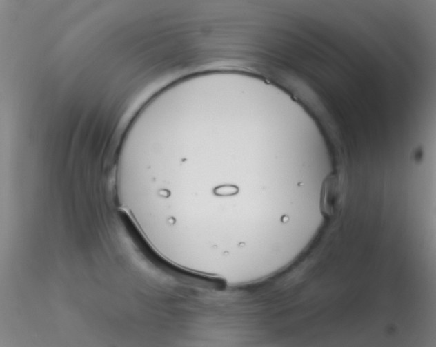 X0000115201284200911251434