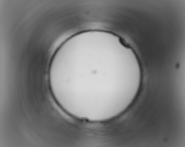 X0000115201285200911251434