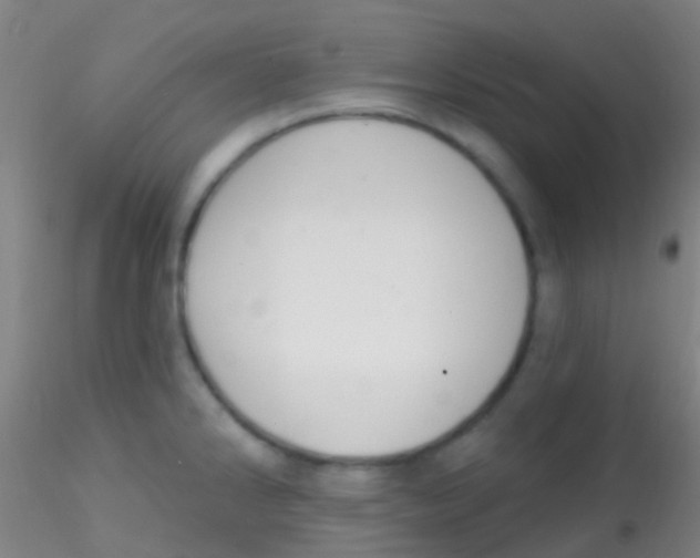 X0000115201286200911251434