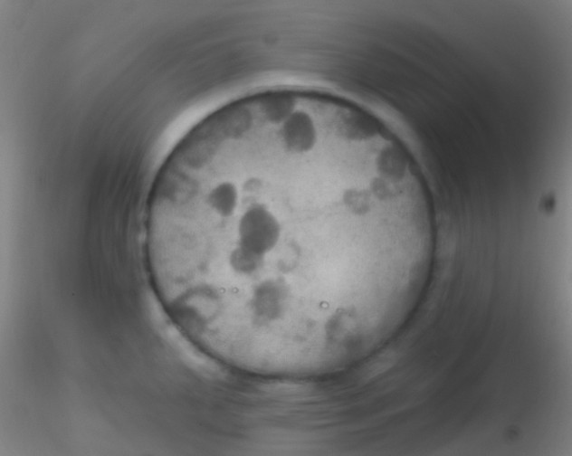 X0000115201287200911251434