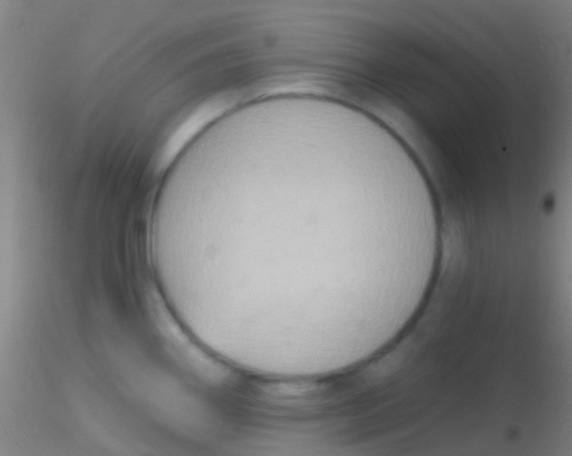 X0000115201290200911251434