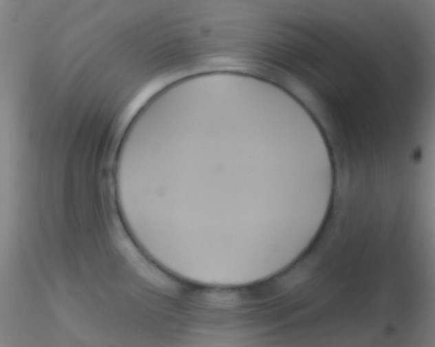 X0000115201291200911251434