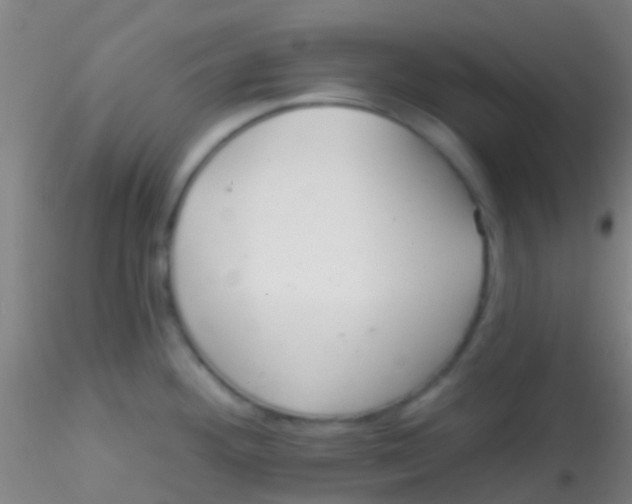 X0000115201292200911251434