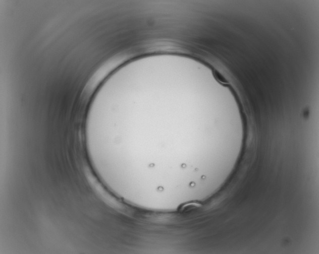 X0000115201293200911251434
