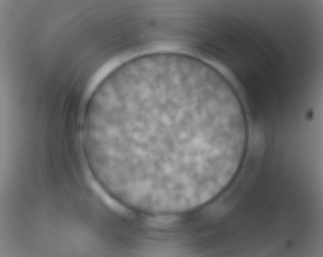X0000115201294200911251434