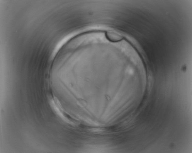 X0000115201295200911251434