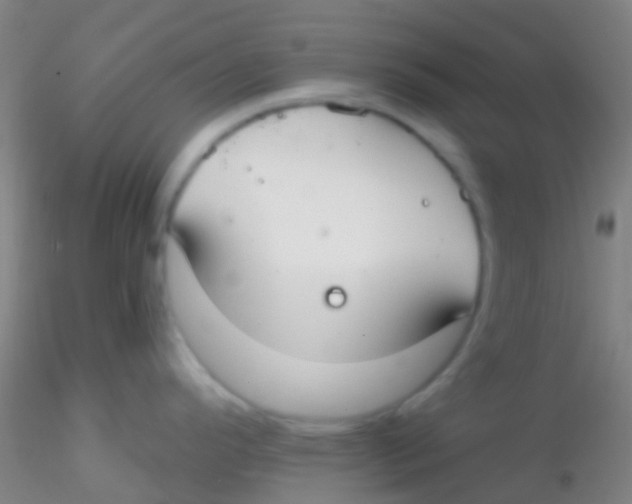 X0000115201296200911251434