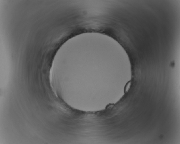 X0000115201297200911251433