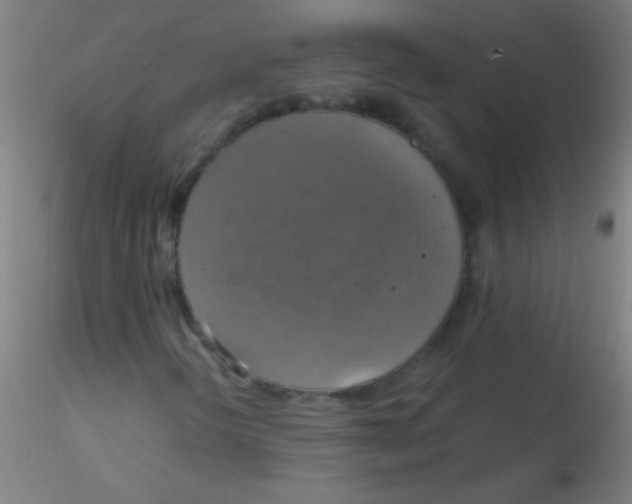 X0000115201298200911251433