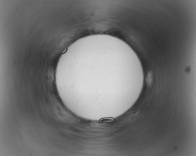 X0000115201299200911251433