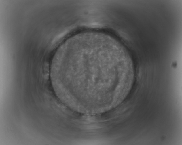 X0000115201301200911251433