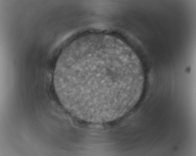 X0000115201302200911251433