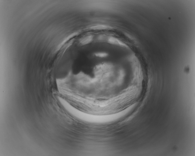 X0000115201305200911251433