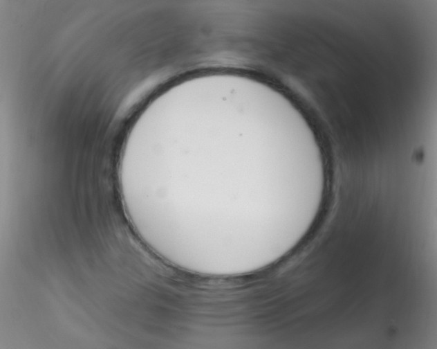 X0000115201307200911251433